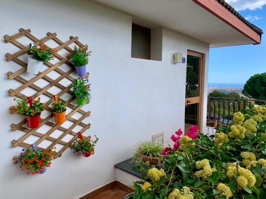 B&B Casa Di Antonio_Etna Vacanze Trecastagni Buitenkant foto