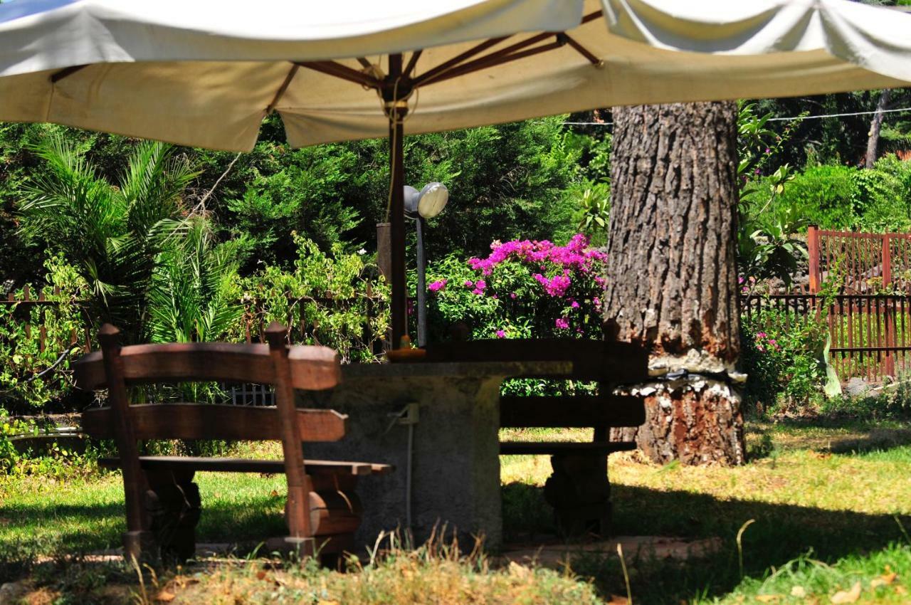 B&B Casa Di Antonio_Etna Vacanze Trecastagni Buitenkant foto