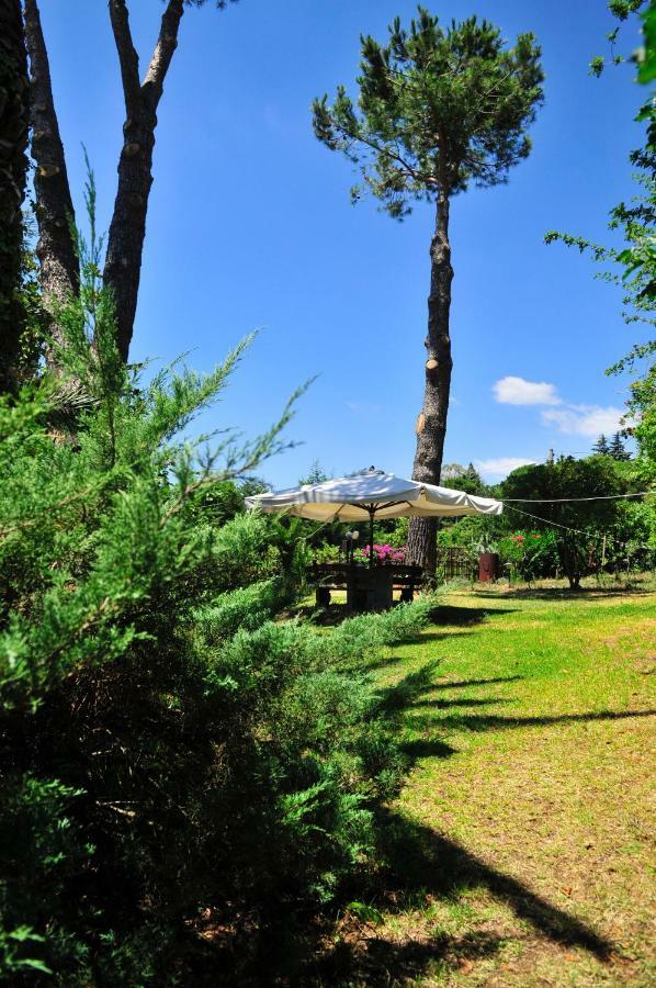 B&B Casa Di Antonio_Etna Vacanze Trecastagni Buitenkant foto