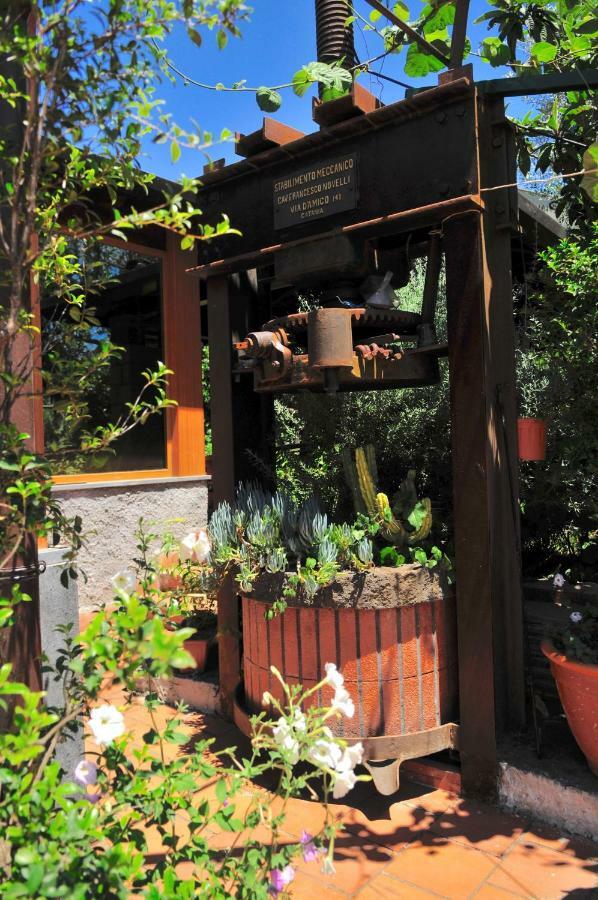 B&B Casa Di Antonio_Etna Vacanze Trecastagni Buitenkant foto