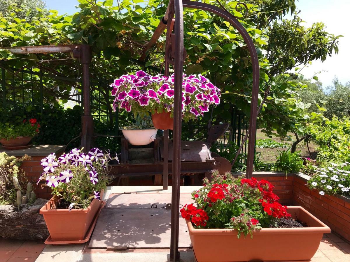 B&B Casa Di Antonio_Etna Vacanze Trecastagni Buitenkant foto