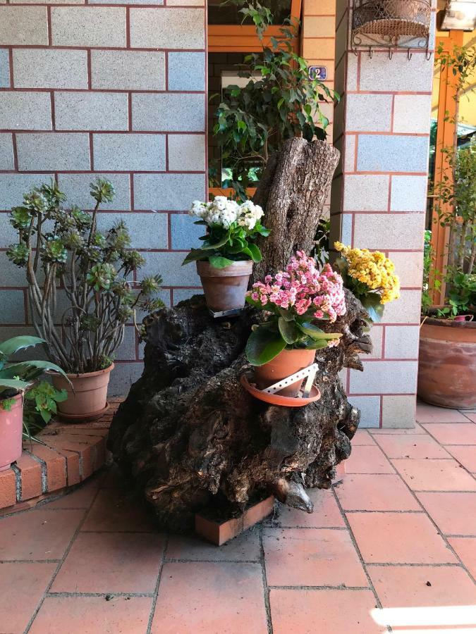 B&B Casa Di Antonio_Etna Vacanze Trecastagni Buitenkant foto